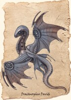 Dracomorphus Davidi