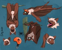 The Bat & The Spider (1/2)