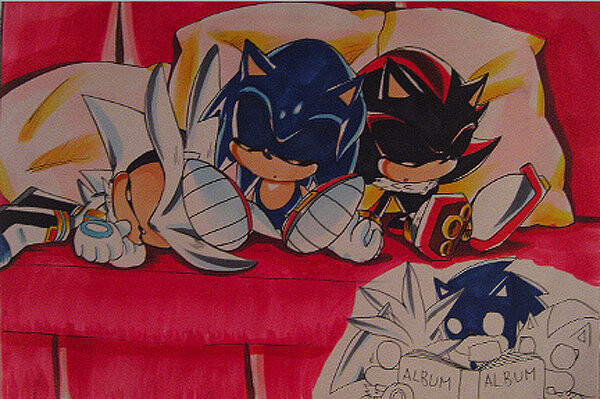 Sonic y shadow silver