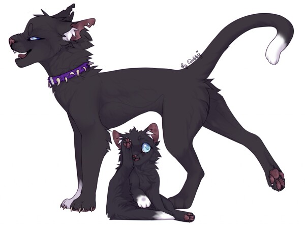 Warrior Cats] - Scourge by Snooozebox -- Fur Affinity [dot] net