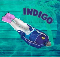 Pool tag -  A_Kororaa_Named_ICE