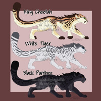 big cat adopts - closed