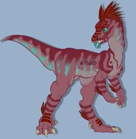 Red Raptor Adopt