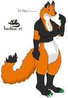 vudy pixel