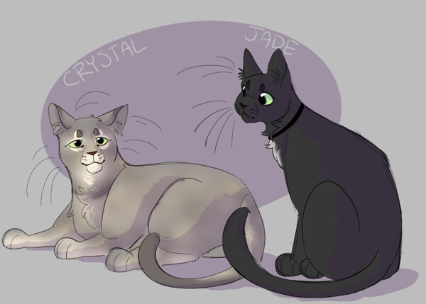 Some Warrior Cats by TheWitebear -- Fur Affinity [dot] net