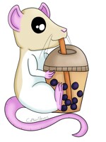 Bubble Tea Rat