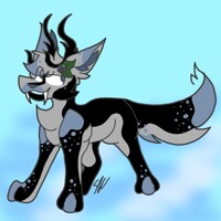 Oil Spill Wingless