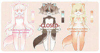 ANTHRO HUSKY | USD auction | OPEN [2/3]
