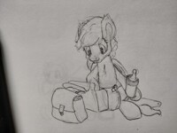 Packing the bags for a day out