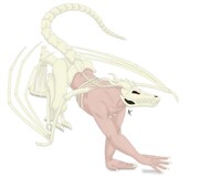 Bone Wyvern #2 [Comm]