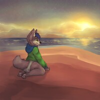 Wolfy in a sunset
