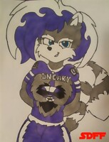 STRIPEZ THE RACCOON (2017)