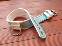 Fursuit Collar - Skullying