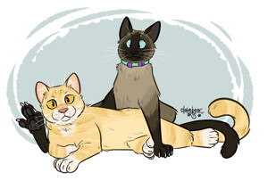 Some Warrior Cats by TheWitebear -- Fur Affinity [dot] net