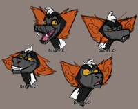 P: Red Ruff Lemur Concept