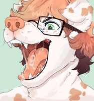 Mawshot for WHATSPUPDAWG