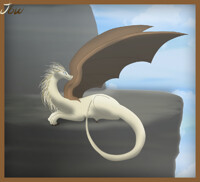 Dragoness practice, My first dragon