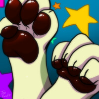 Fallon Paws