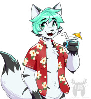 Patreon Reward