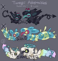 Turegii adoptables :3