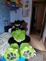Big Paws