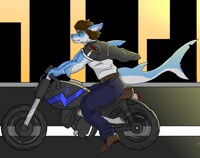 Miami Run (Shark Week)