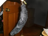 My First tail :3