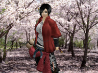The Ronin Blossom