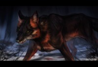 Dark Fox (Speedpaint in Desc)