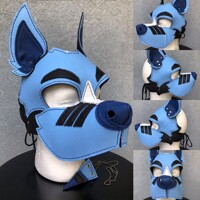 Introducing Pup G