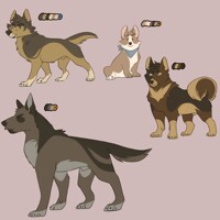 cheap simple adopts 2