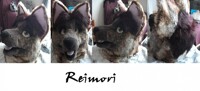 Reimori turnaround