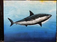 The Great White