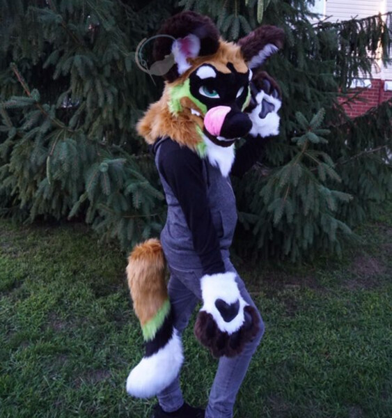 African Wild Dog Partial For Sale by SewingStuffs -- Fur Affinity [dot