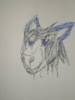 1 minute Dog head.