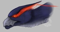 quick sketch of nargacuga