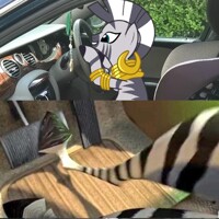 Zecora driving high speed