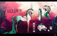 Horse adopt [closed]