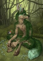 In the Forest