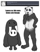 How do you feel about walruses in the furry community?