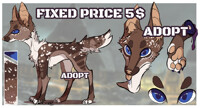 !!! ADOPT FOR SALE !!!