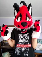 new fursuit!