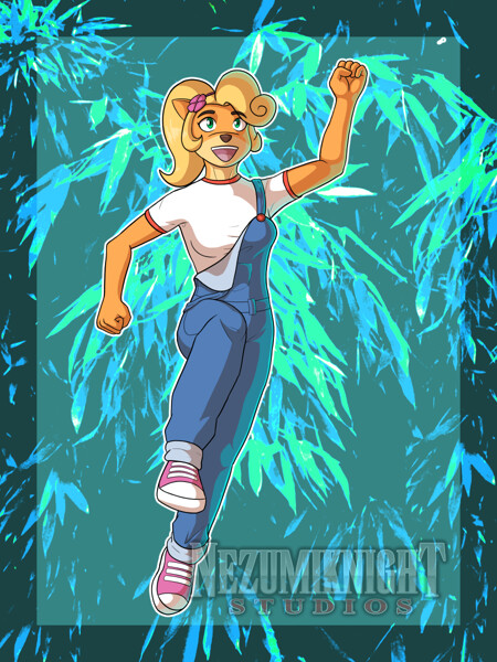 Favorites Gallery For Coco-Bandicoot -- Fur Affinity [dot] Net