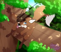 Here, in the forest
