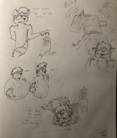Overconfident raccoon