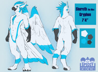[Commission] Shereth Refsheet