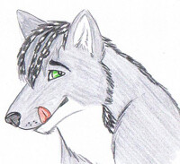 Matt_Grey Ava 