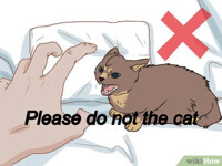 do not