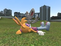 Minccino's hypnotized bunny