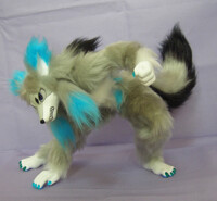 Goldias is often requested in silver gray.